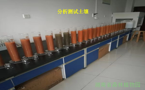 AG旗舰厅(中国游)官方网站