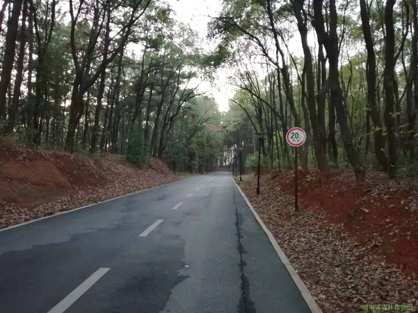 AG旗舰厅(中国游)官方网站
