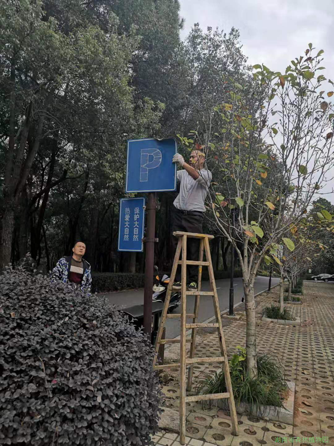 AG旗舰厅(中国游)官方网站