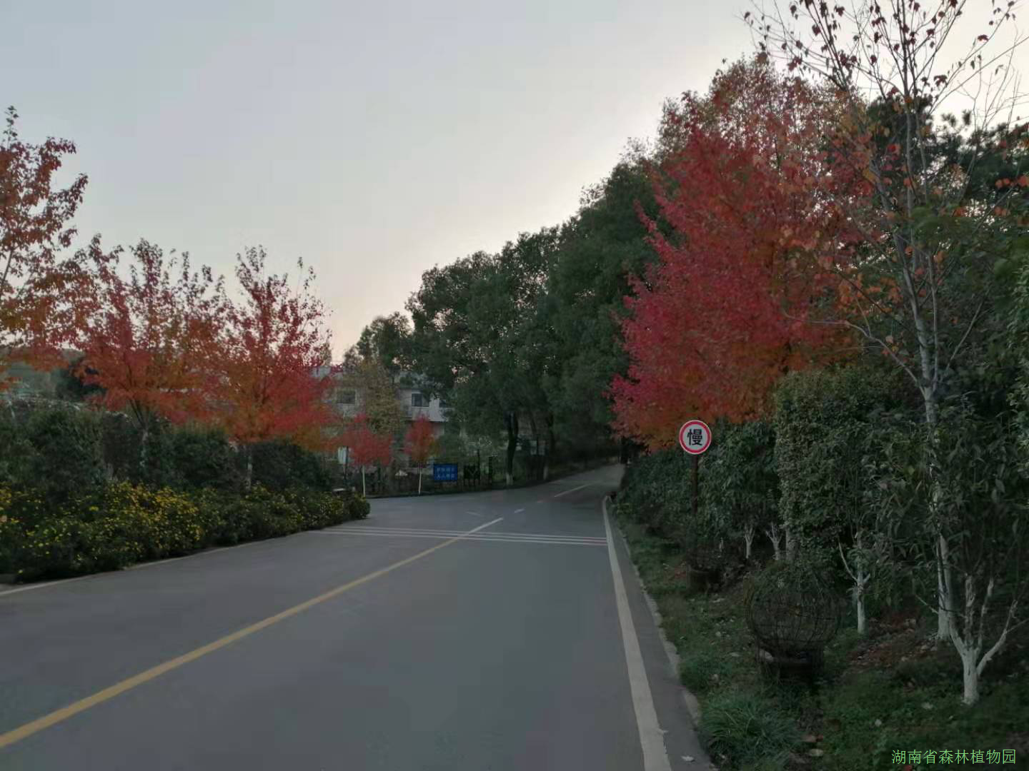 AG旗舰厅(中国游)官方网站