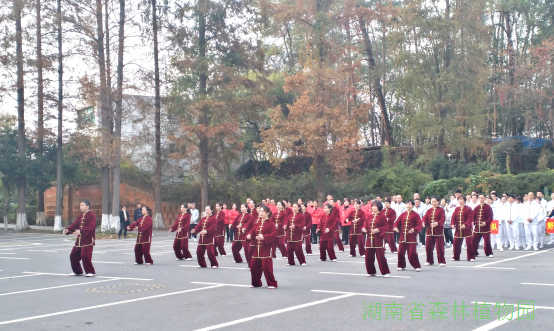 AG旗舰厅(中国游)官方网站