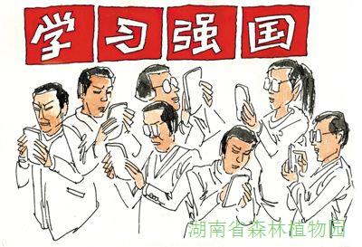 AG旗舰厅(中国游)官方网站
