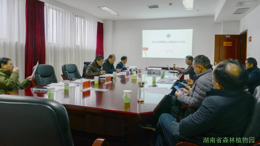 AG旗舰厅(中国游)官方网站