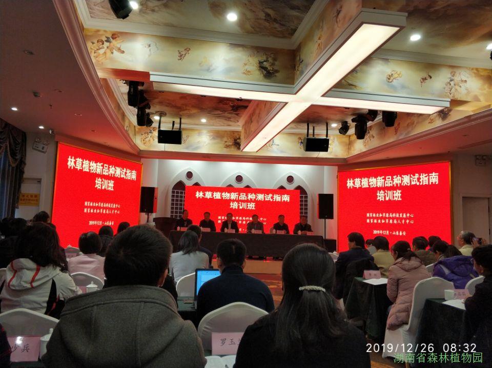 AG旗舰厅(中国游)官方网站