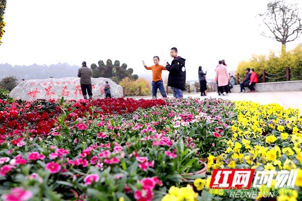AG旗舰厅(中国游)官方网站
