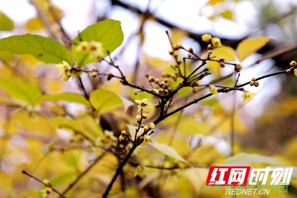 AG旗舰厅(中国游)官方网站