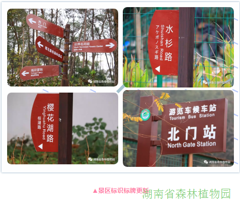 AG旗舰厅(中国游)官方网站
