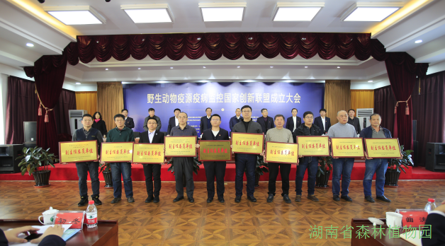 AG旗舰厅(中国游)官方网站