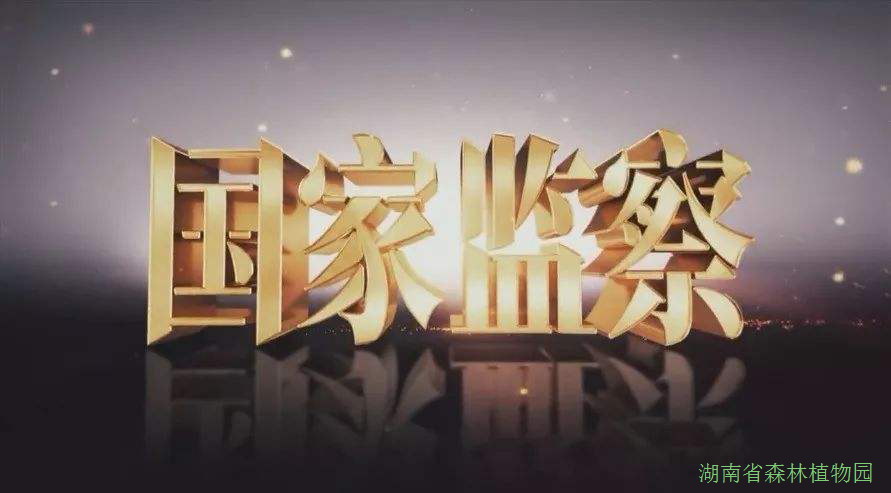 AG旗舰厅(中国游)官方网站