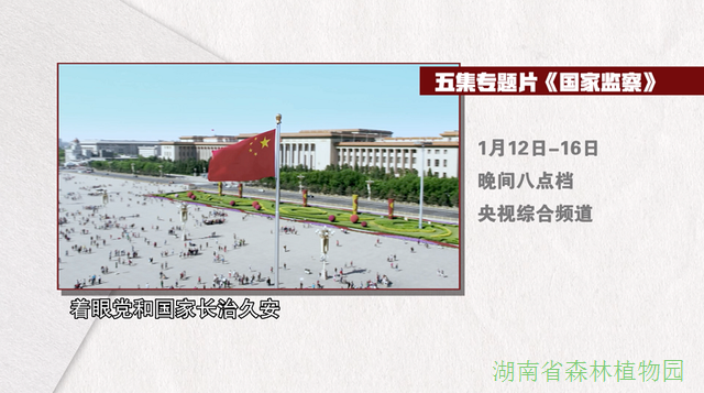 AG旗舰厅(中国游)官方网站