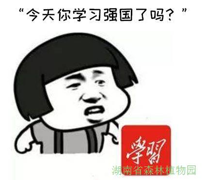 AG旗舰厅(中国游)官方网站