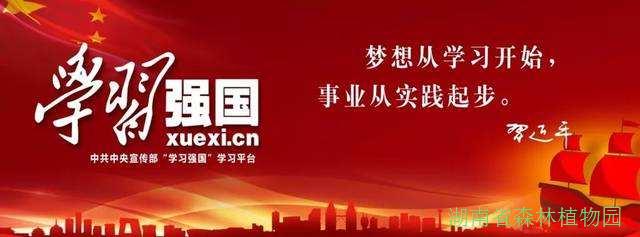 AG旗舰厅(中国游)官方网站
