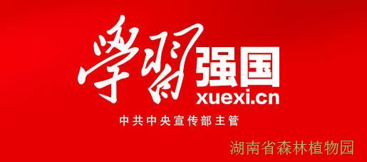 AG旗舰厅(中国游)官方网站