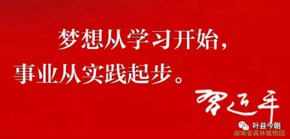 AG旗舰厅(中国游)官方网站