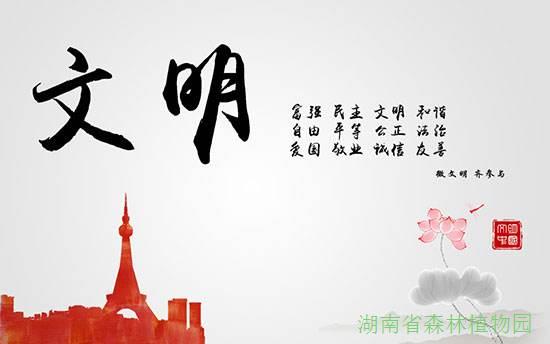 AG旗舰厅(中国游)官方网站