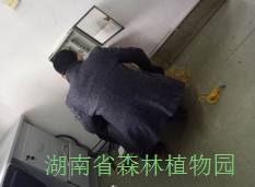 AG旗舰厅(中国游)官方网站