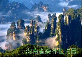 AG旗舰厅(中国游)官方网站