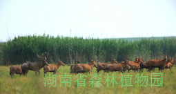 AG旗舰厅(中国游)官方网站