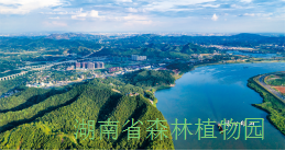 AG旗舰厅(中国游)官方网站
