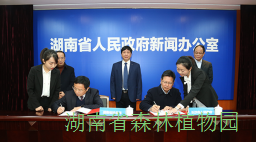 AG旗舰厅(中国游)官方网站