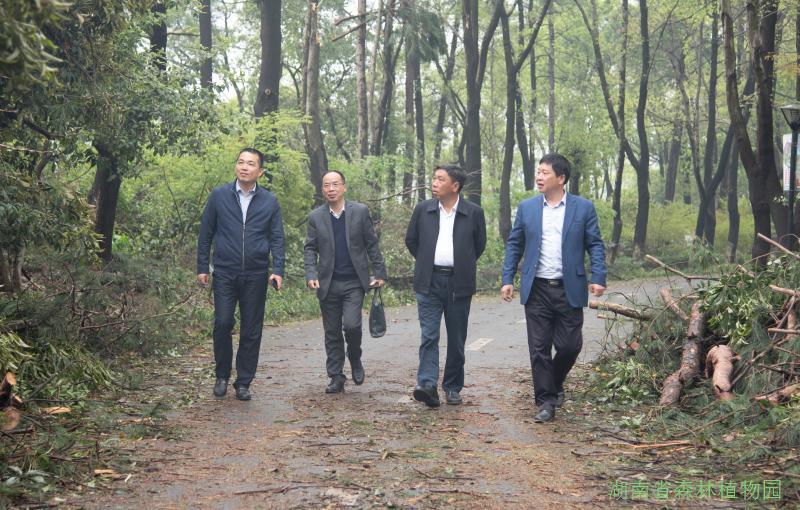AG旗舰厅(中国游)官方网站