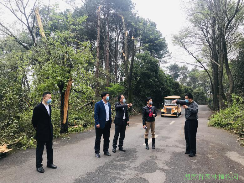 AG旗舰厅(中国游)官方网站