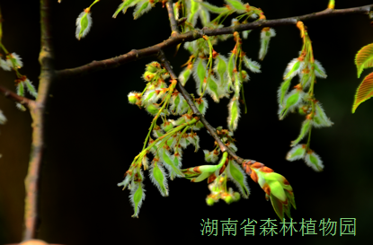 AG旗舰厅(中国游)官方网站