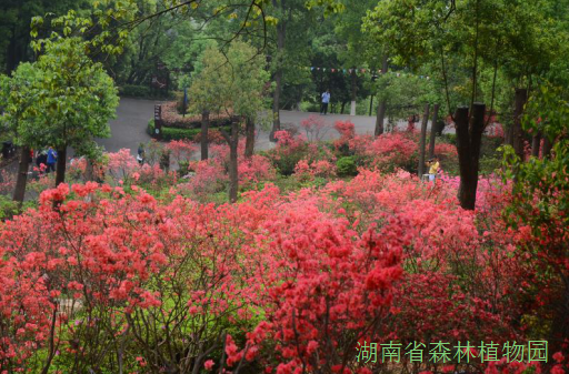 AG旗舰厅(中国游)官方网站
