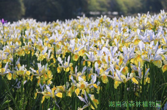 AG旗舰厅(中国游)官方网站