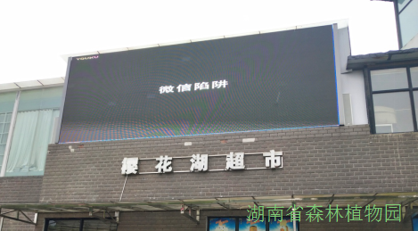 AG旗舰厅(中国游)官方网站