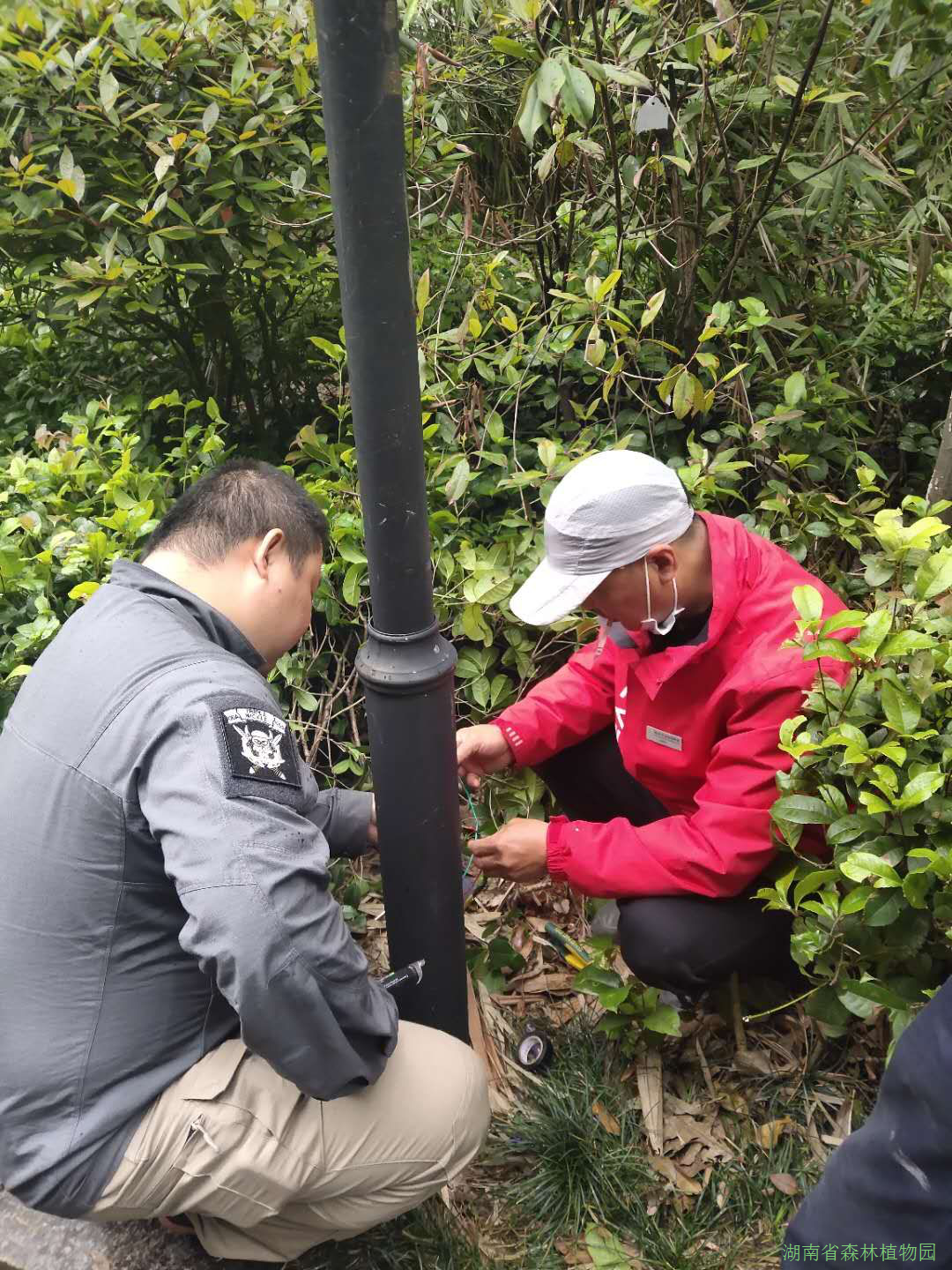 AG旗舰厅(中国游)官方网站