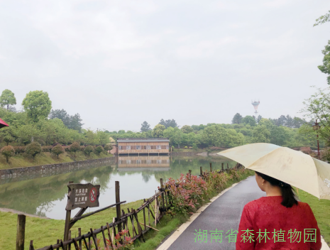 AG旗舰厅(中国游)官方网站
