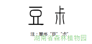 AG旗舰厅(中国游)官方网站