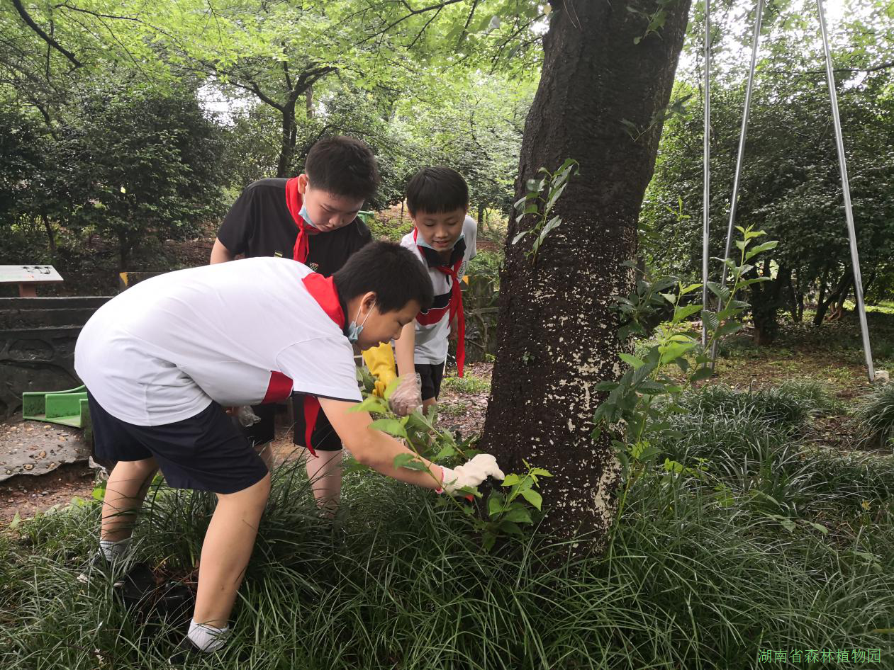 AG旗舰厅(中国游)官方网站