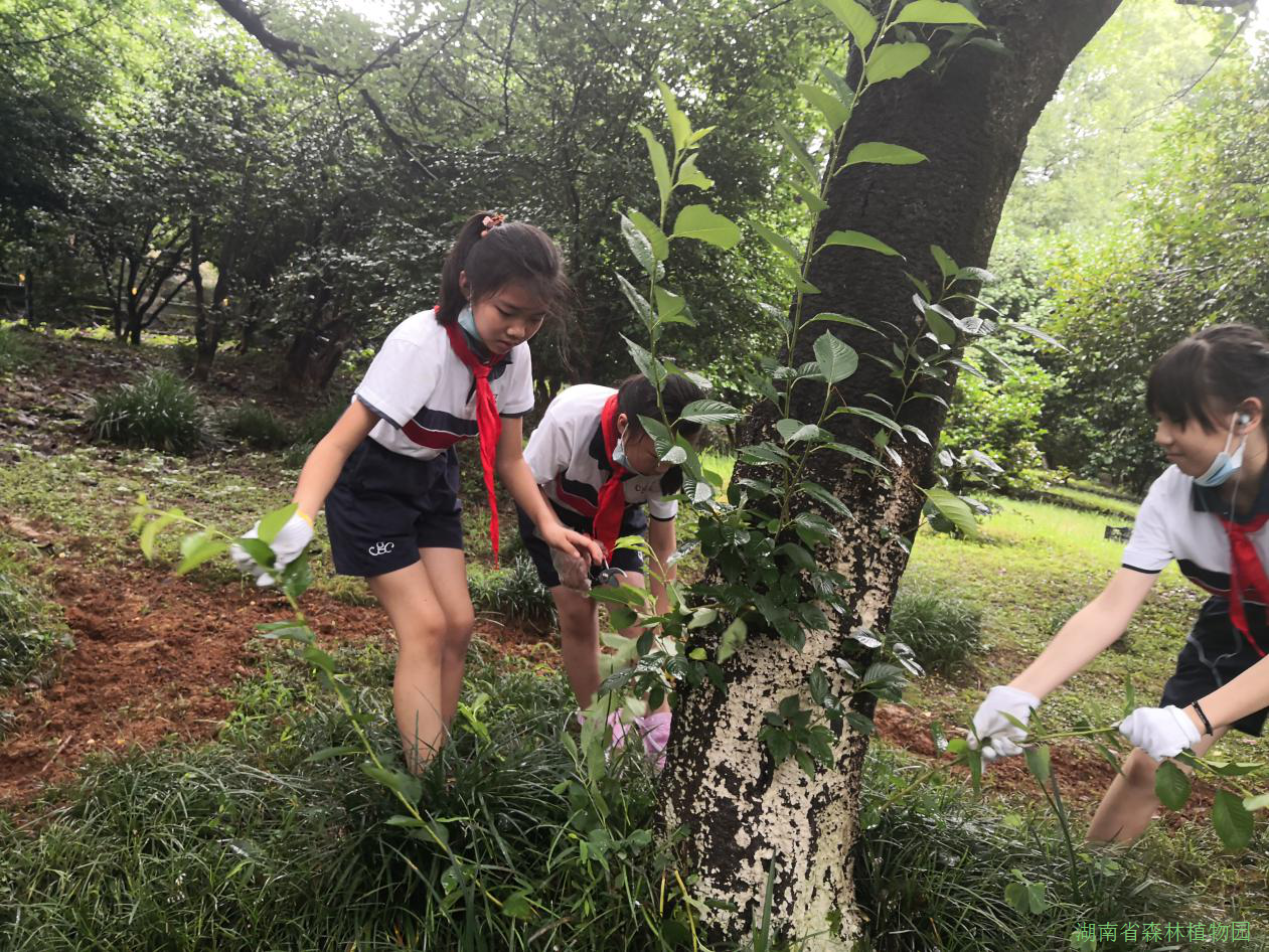 AG旗舰厅(中国游)官方网站