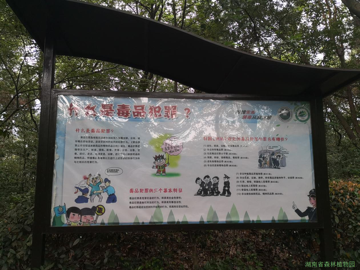 AG旗舰厅(中国游)官方网站