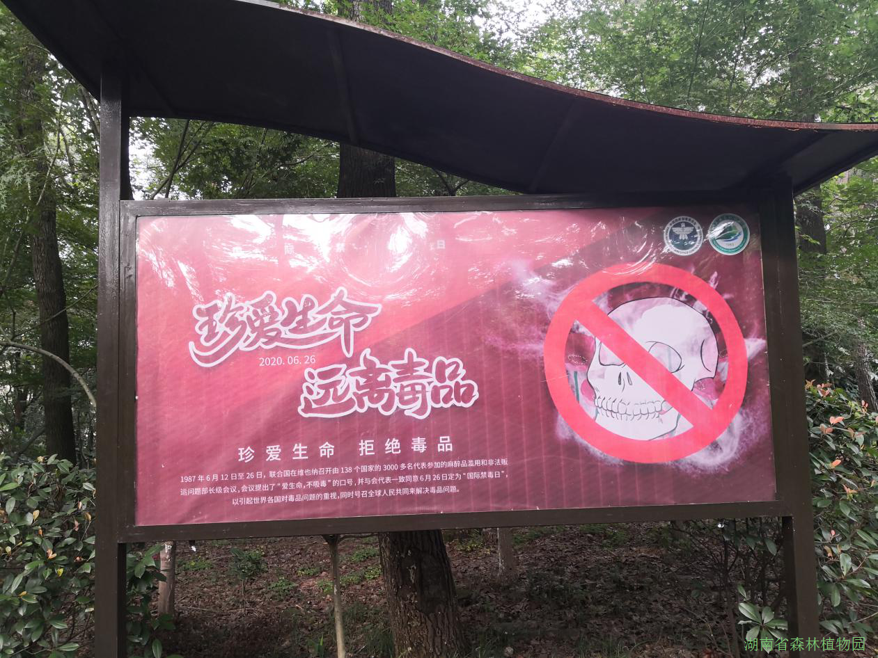 AG旗舰厅(中国游)官方网站