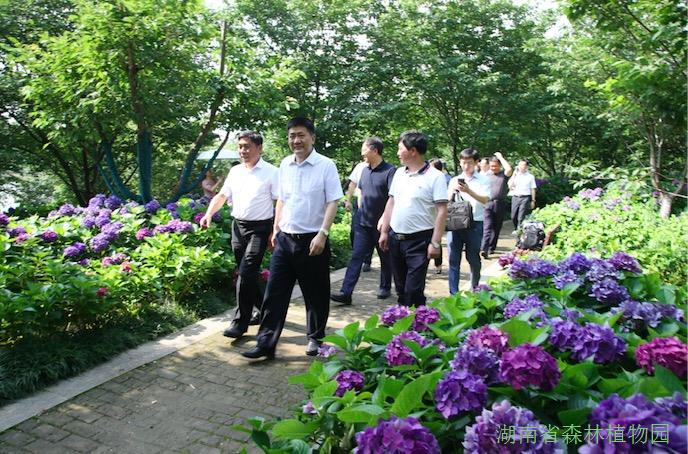 AG旗舰厅(中国游)官方网站