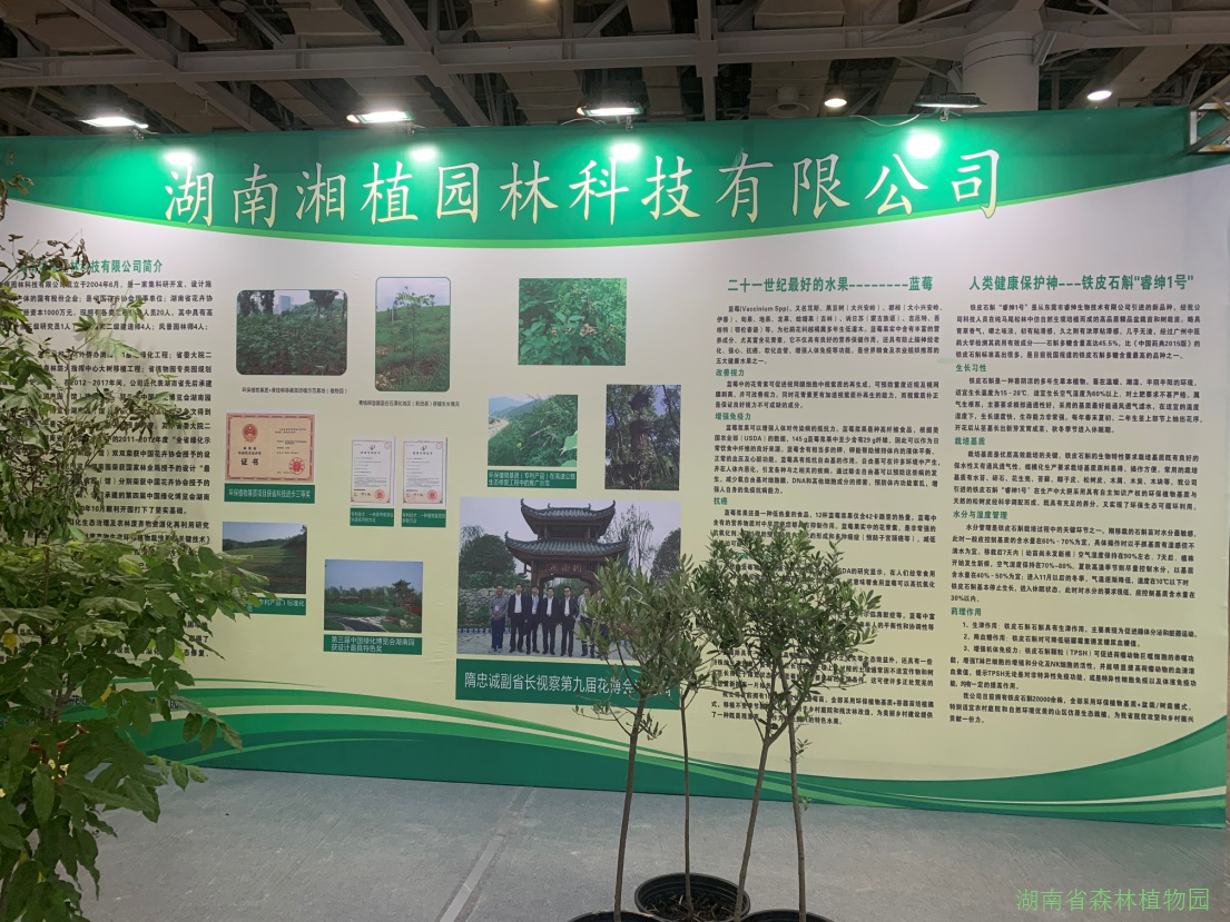 AG旗舰厅(中国游)官方网站