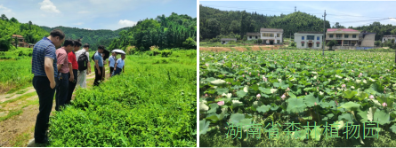 AG旗舰厅(中国游)官方网站