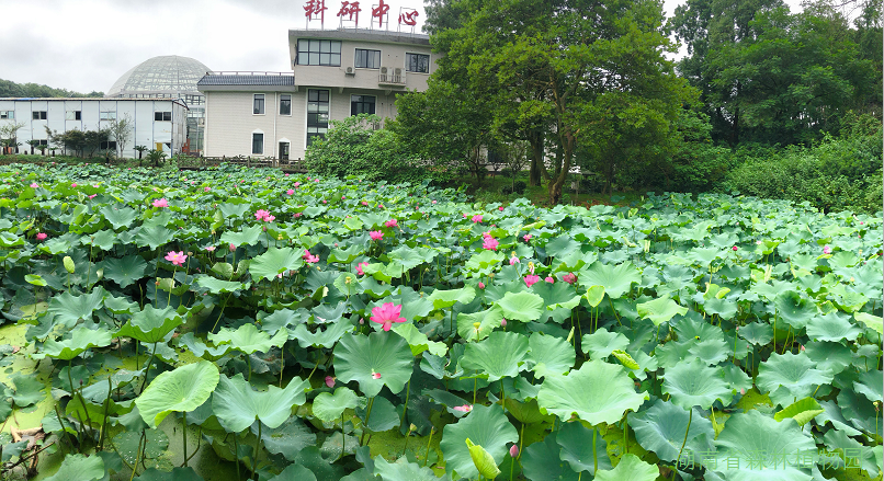 AG旗舰厅(中国游)官方网站