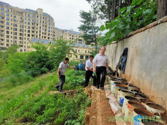 AG旗舰厅(中国游)官方网站