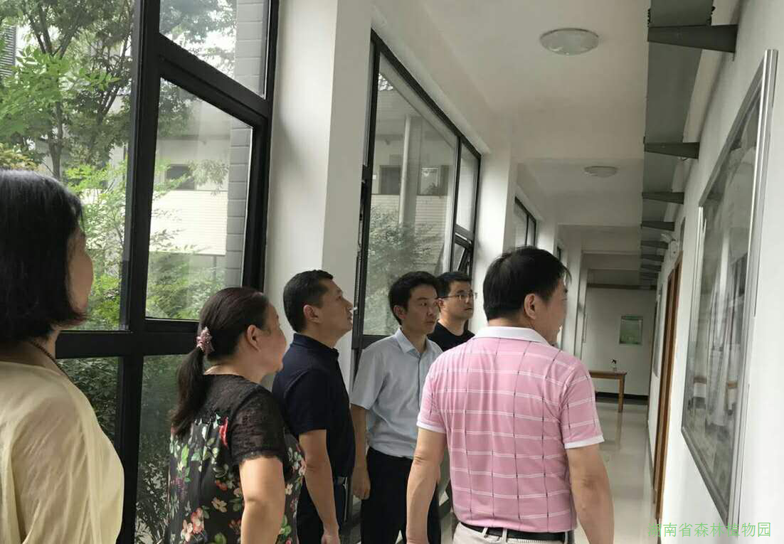 AG旗舰厅(中国游)官方网站