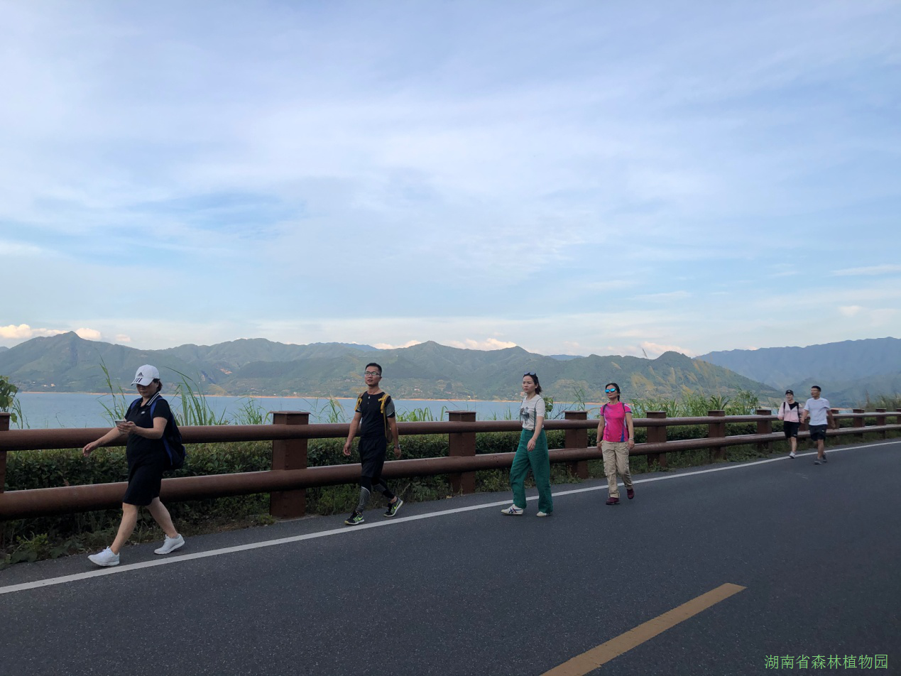 AG旗舰厅(中国游)官方网站