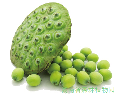 AG旗舰厅(中国游)官方网站