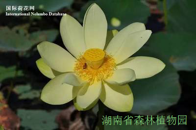 AG旗舰厅(中国游)官方网站