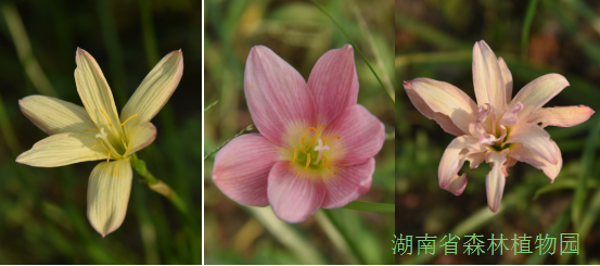 AG旗舰厅(中国游)官方网站