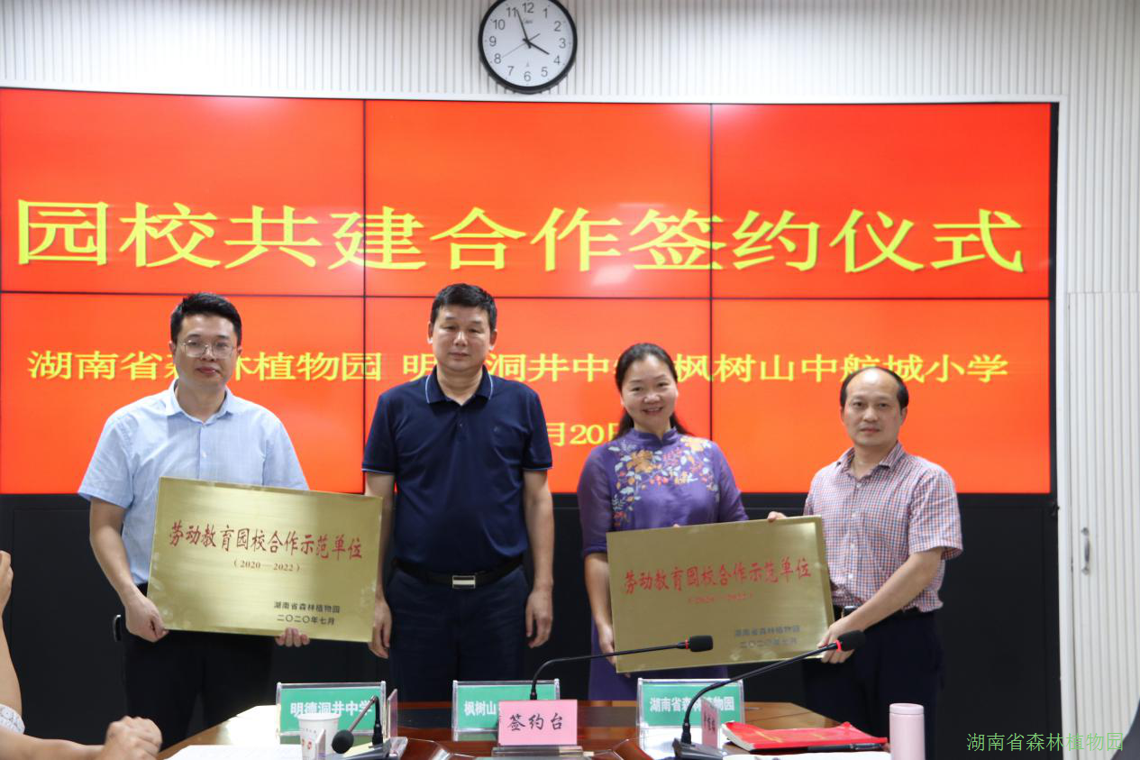 AG旗舰厅(中国游)官方网站