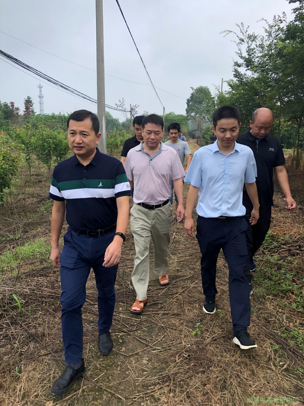 AG旗舰厅(中国游)官方网站