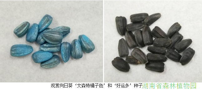 AG旗舰厅(中国游)官方网站